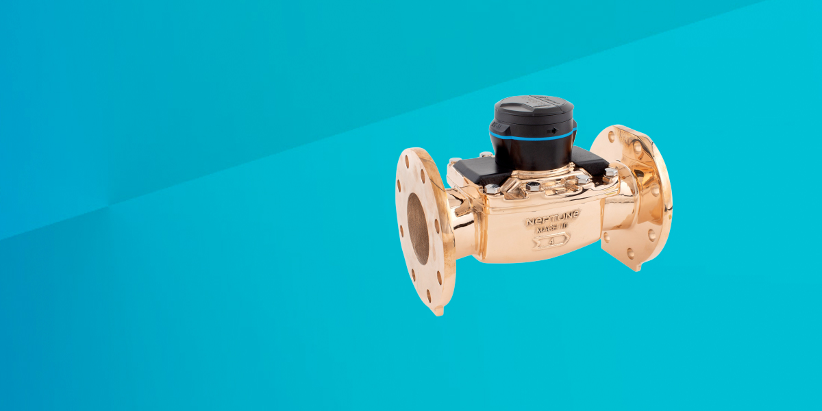 neptune hp turbine meter